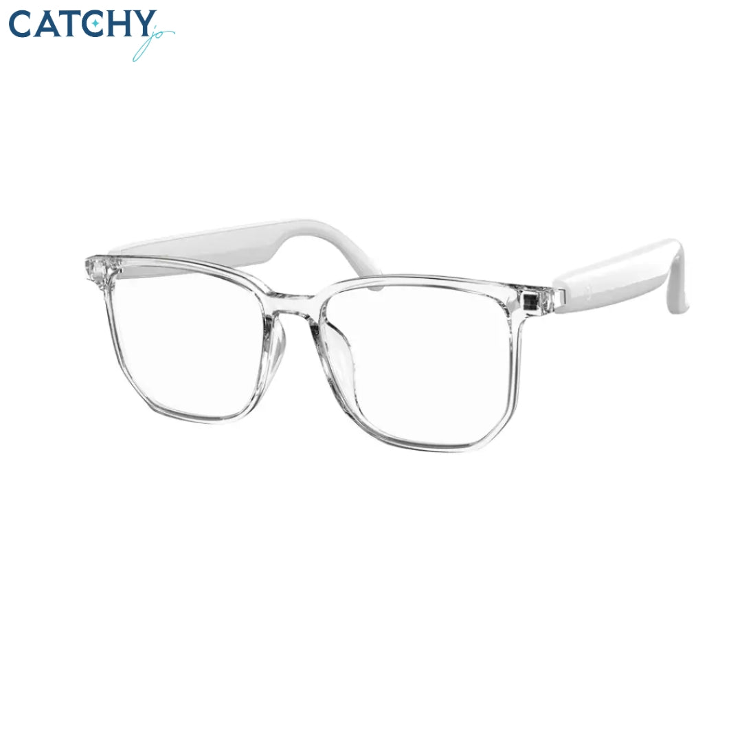 Green Lion Hamburg Smart Glasses