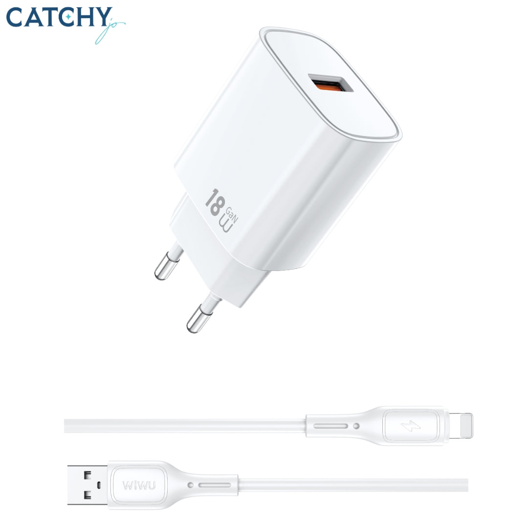 WiWU Wi-G006 Essen GaN Fast Charger+Cable Combo (EU)