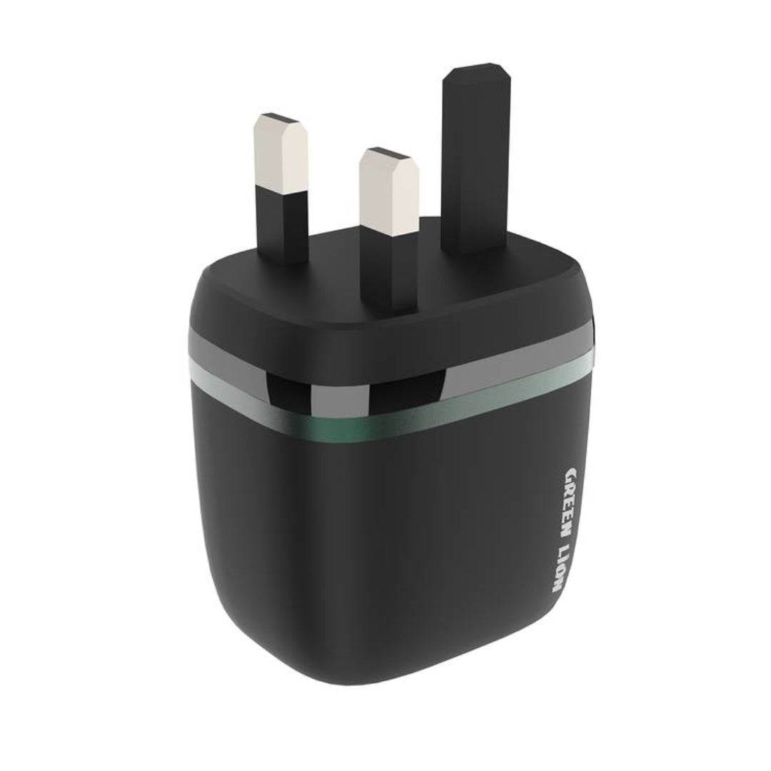 Green Lion Dual USB Wall Charger With USB-A To USB-C Cable (12W)
