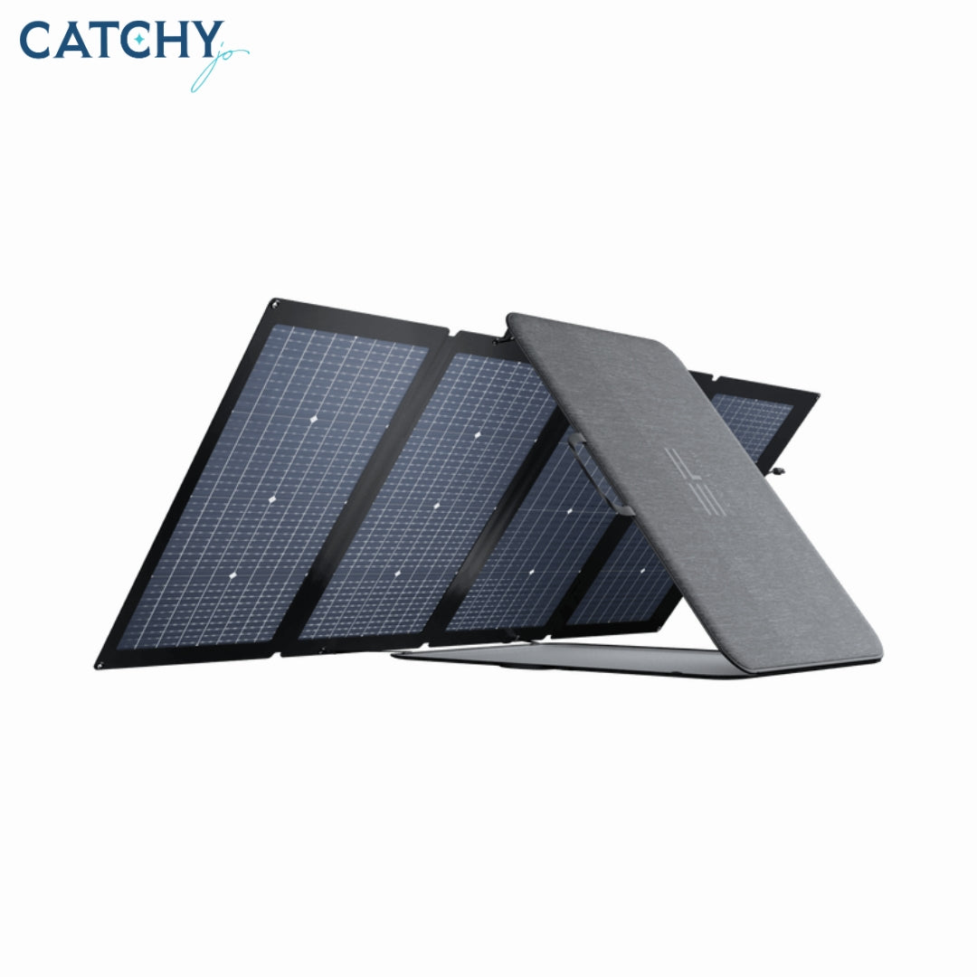EcoFlow Solar Panel (220W)
