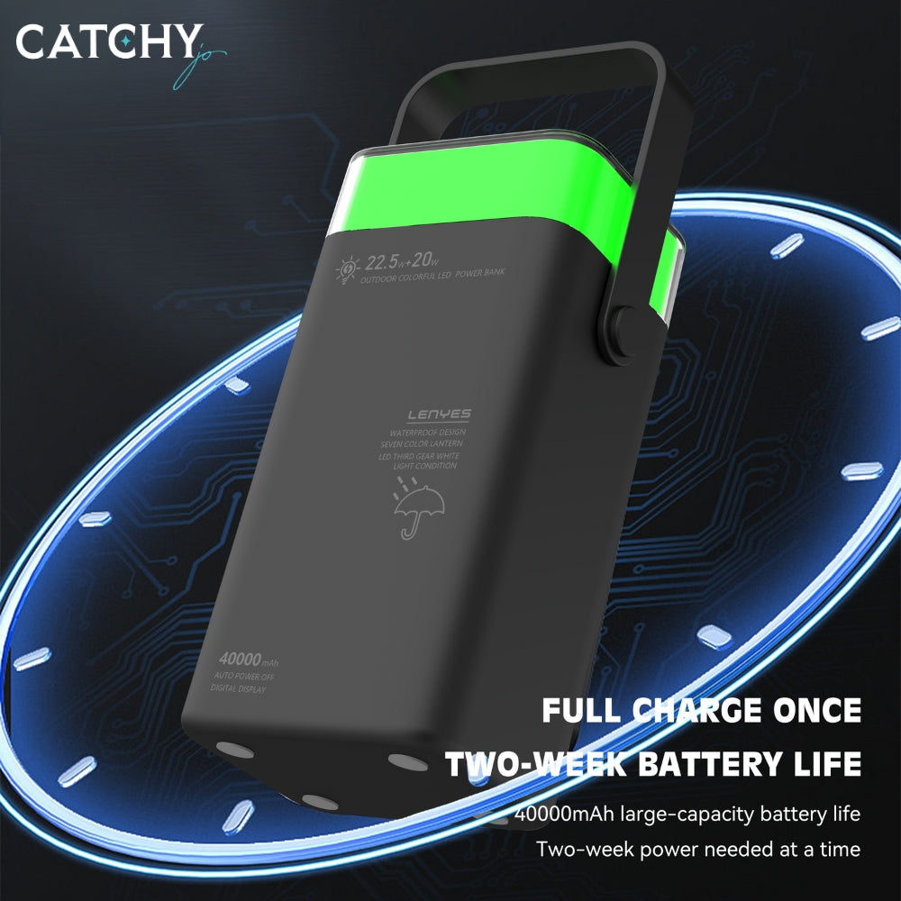 LENYES PX492D Powerbank (40000mAh)