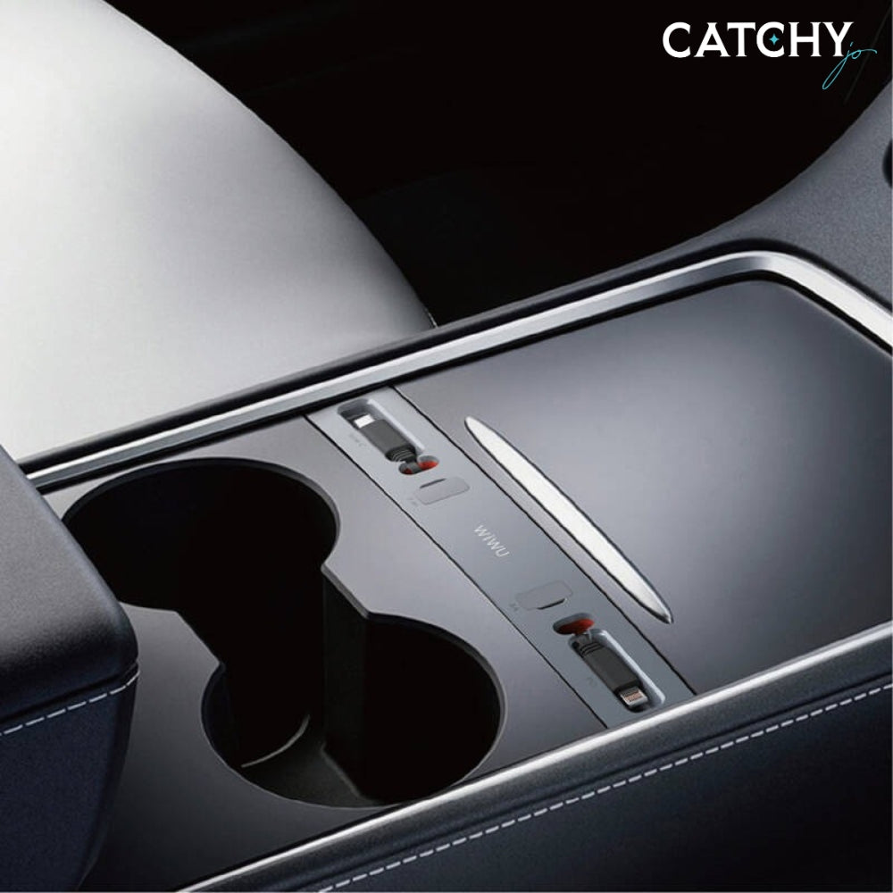 WiWU Wi-DS001 Car Docking