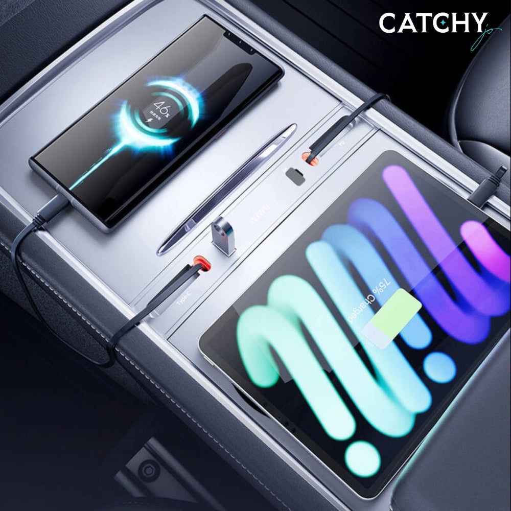 WiWU Wi-DS001 Car Docking