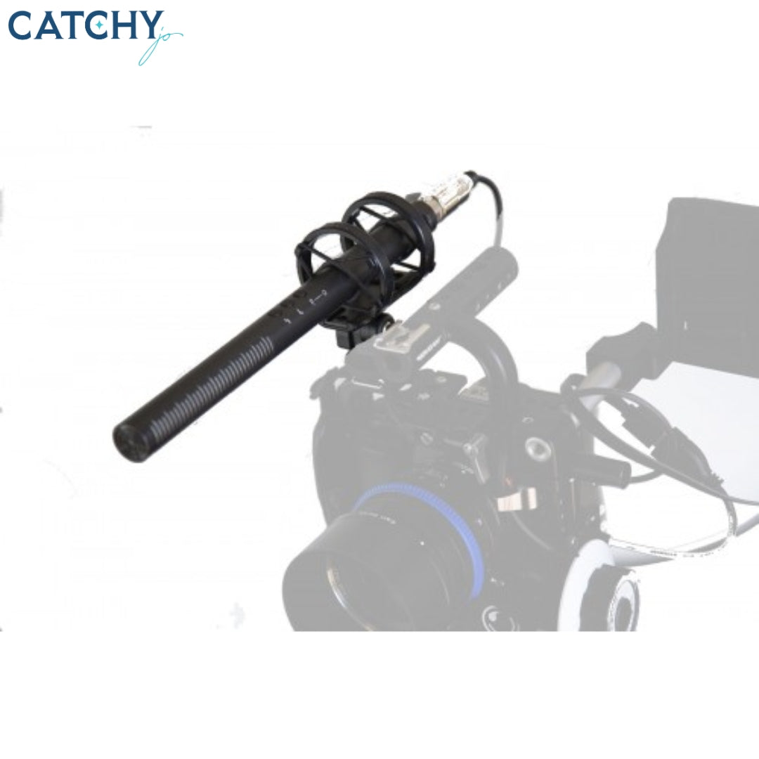 Rode NTG4+ Directional Shotgun Microphone with Rechargeable Lithium Battery