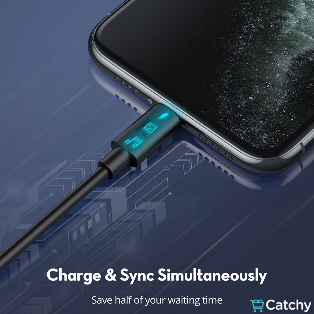 RAVPOWER Type-C to Lightning Cable