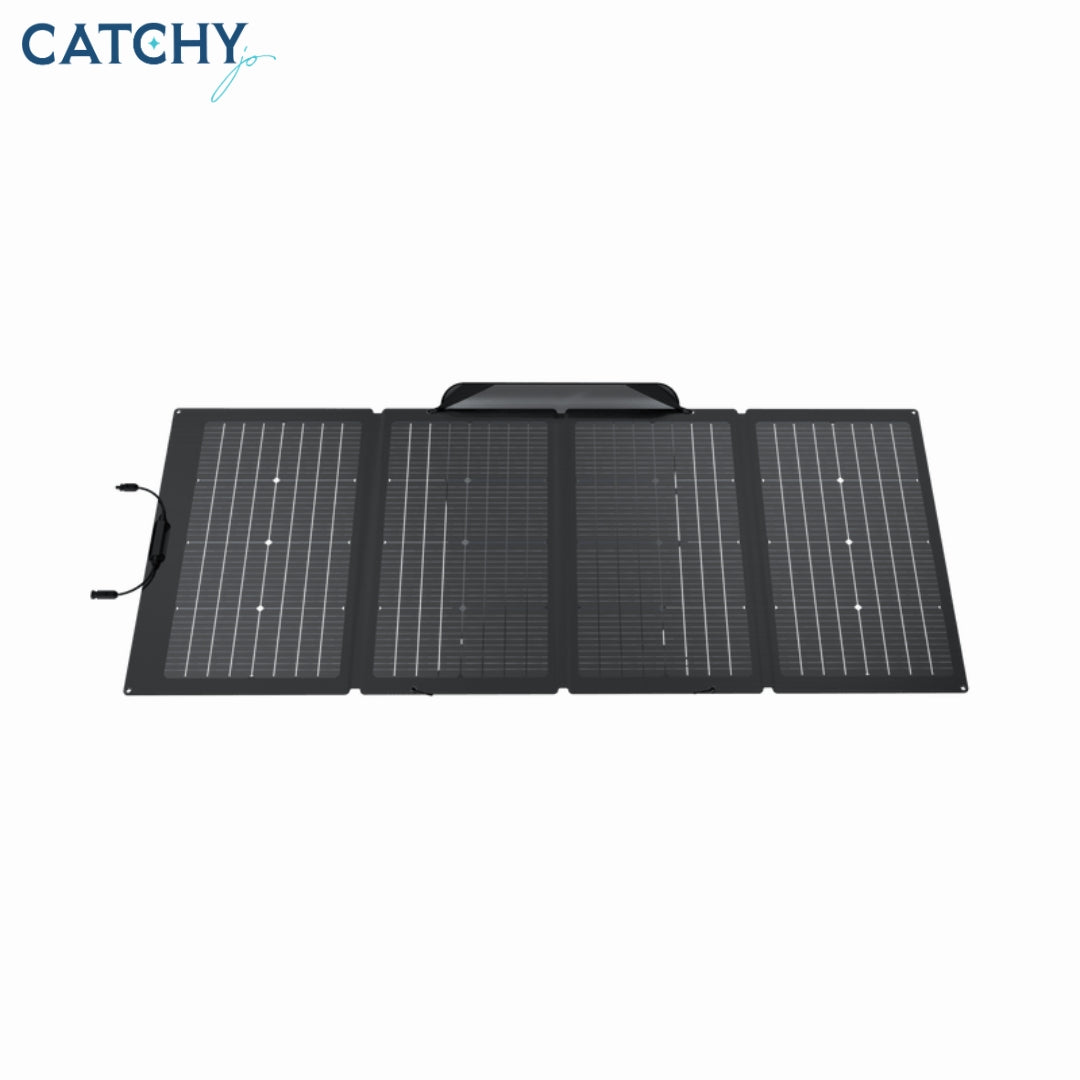 EcoFlow Solar Panel (220W)
