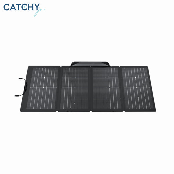 EcoFlow Solar Panel (220W)