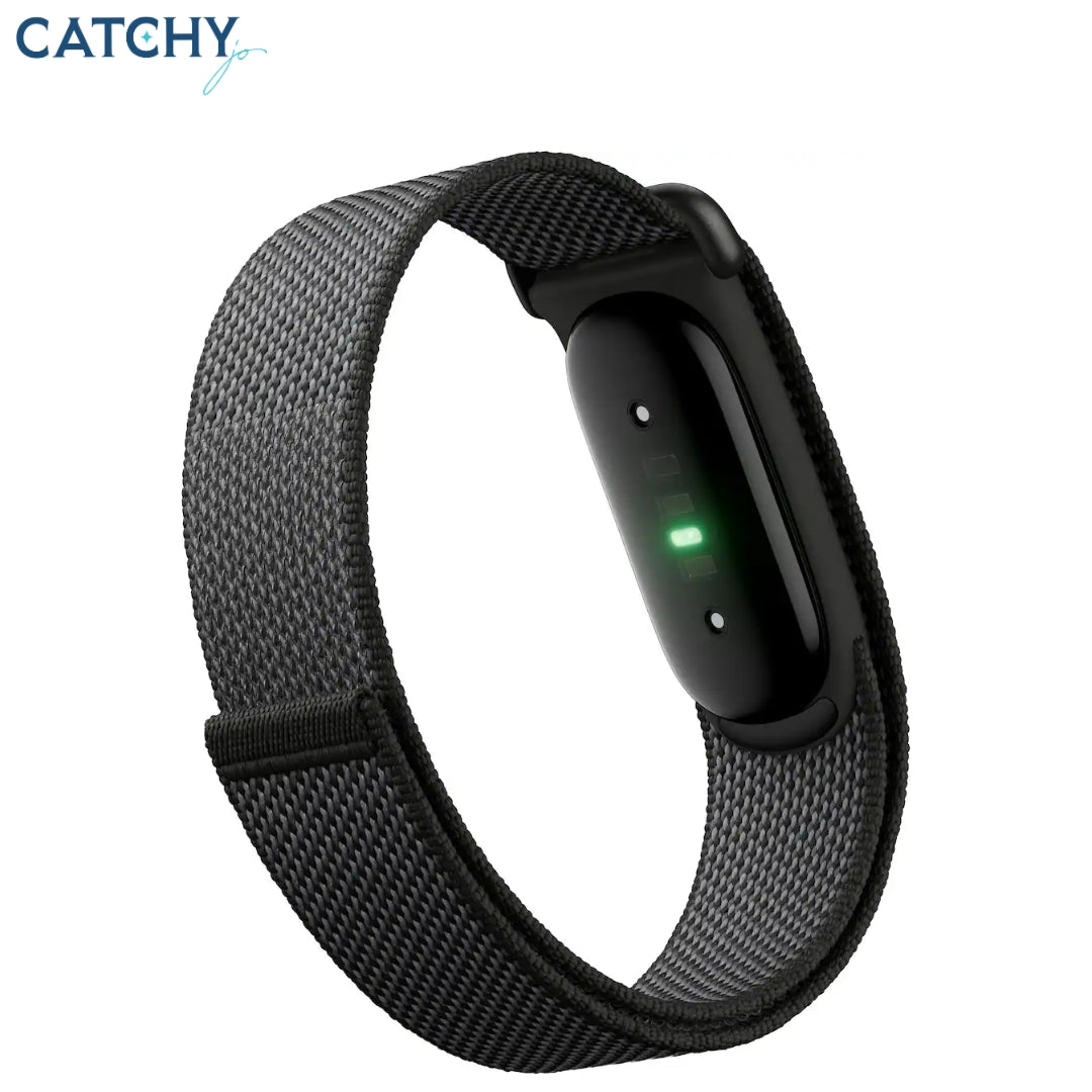 Google Fitbit Air