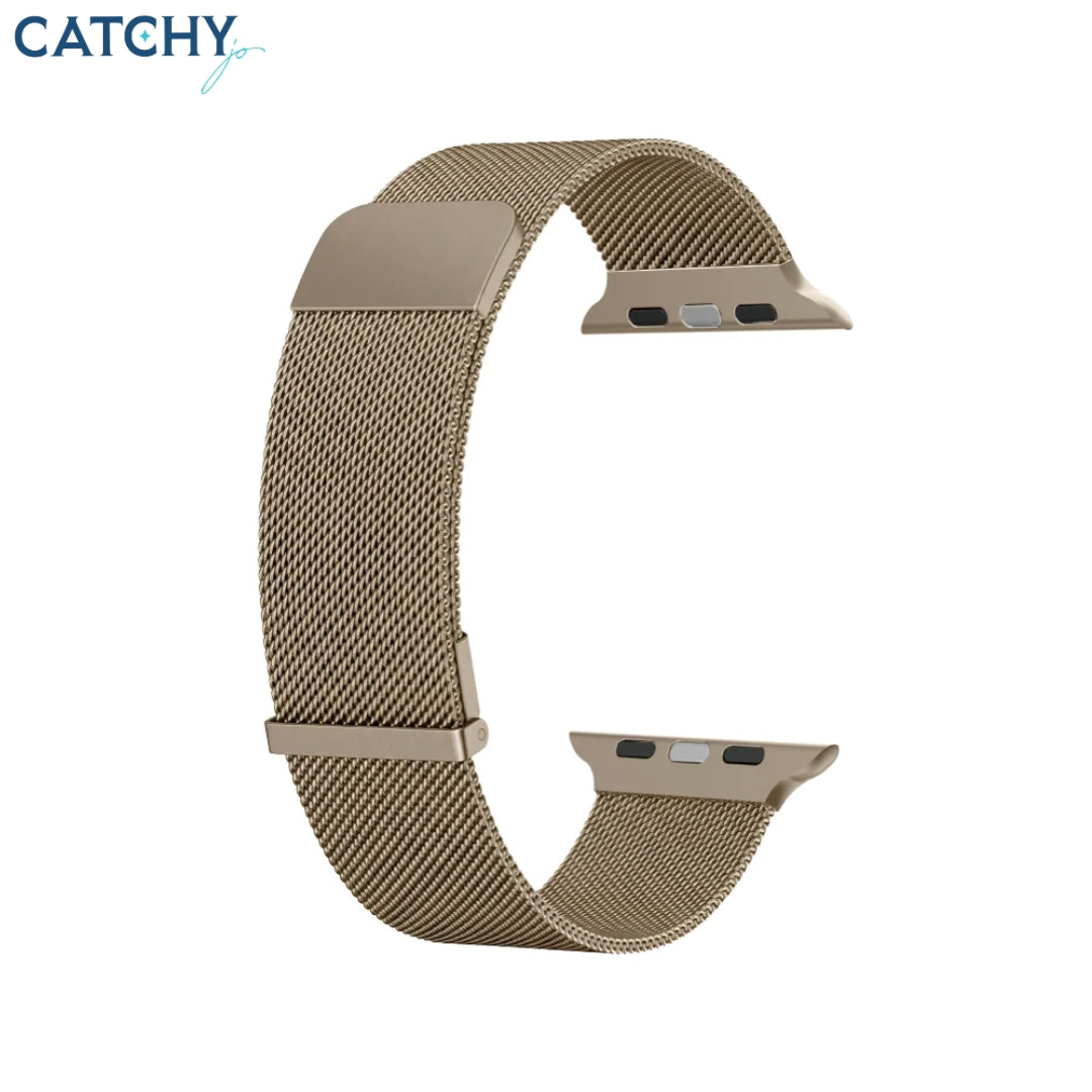 WiWU WB302 MagFlex Secure Magnetic Mesh Watch Band for Apple Watch