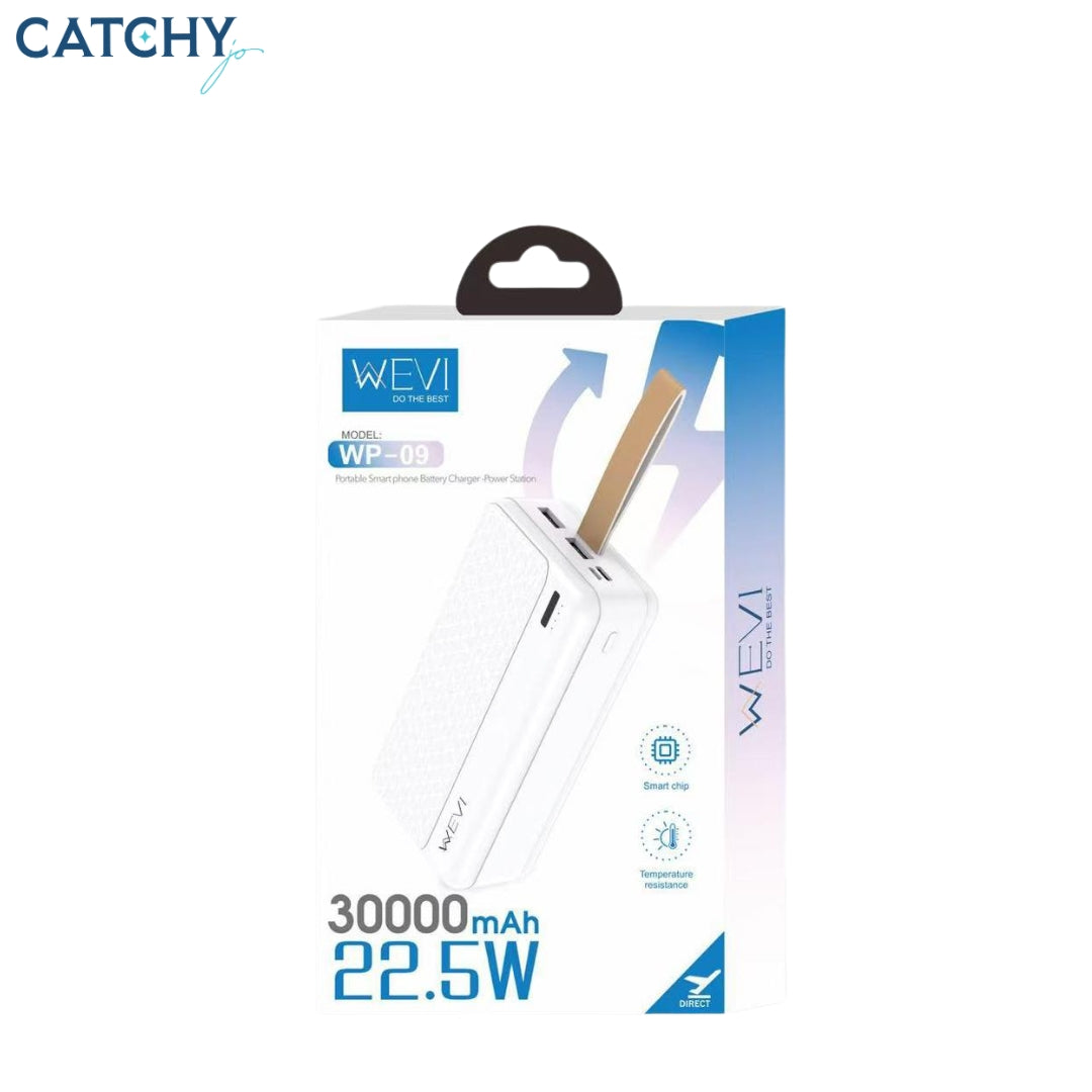 WEVI WP-09 Power Bank (30000mAh)