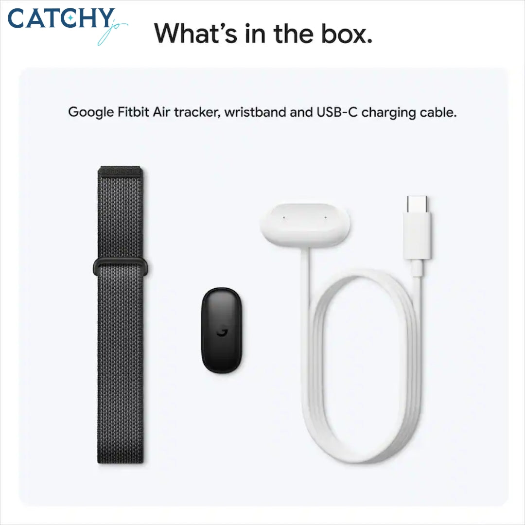 Google Fitbit Air
