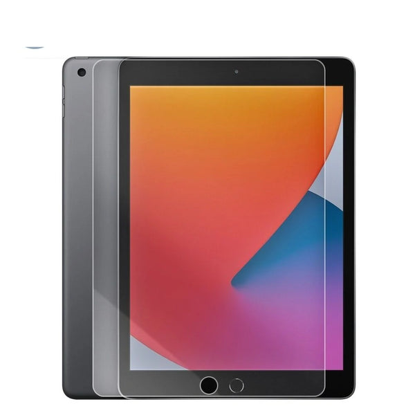 iPad Nano Clear Screen Protector